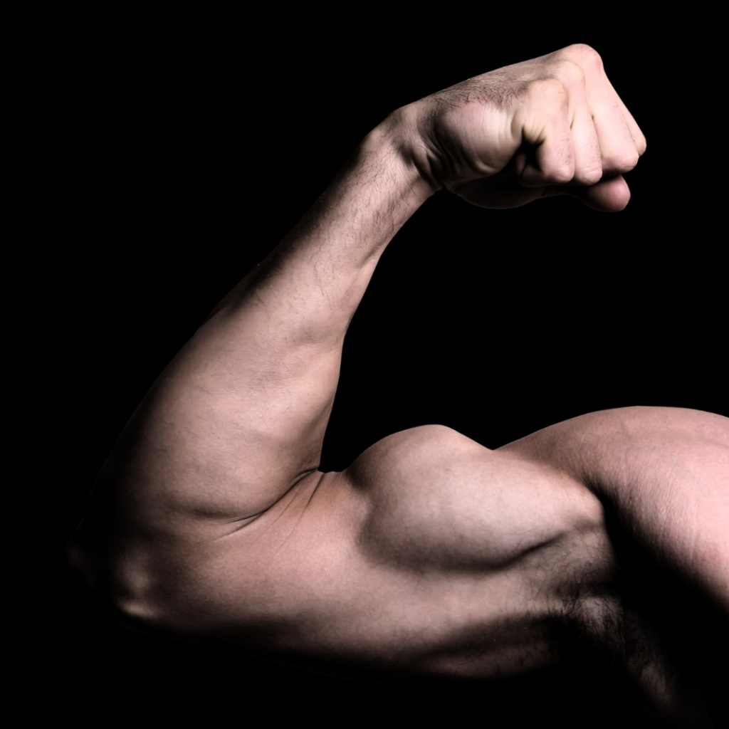 picture of the average bicep size for men